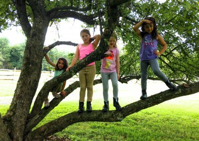 Girls On Tree